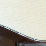 Wood fiber inlay and snakewood binding