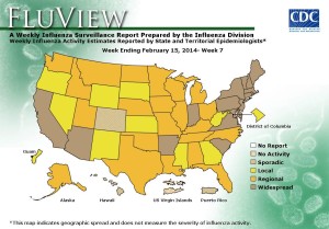 Flu map February 2014