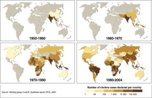 cholera spread map
