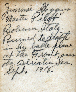 WWI Pilot killed 1918 Armistice Day