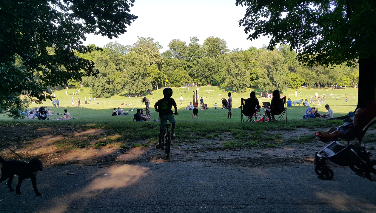 Nice Afternoon in Prospect Park