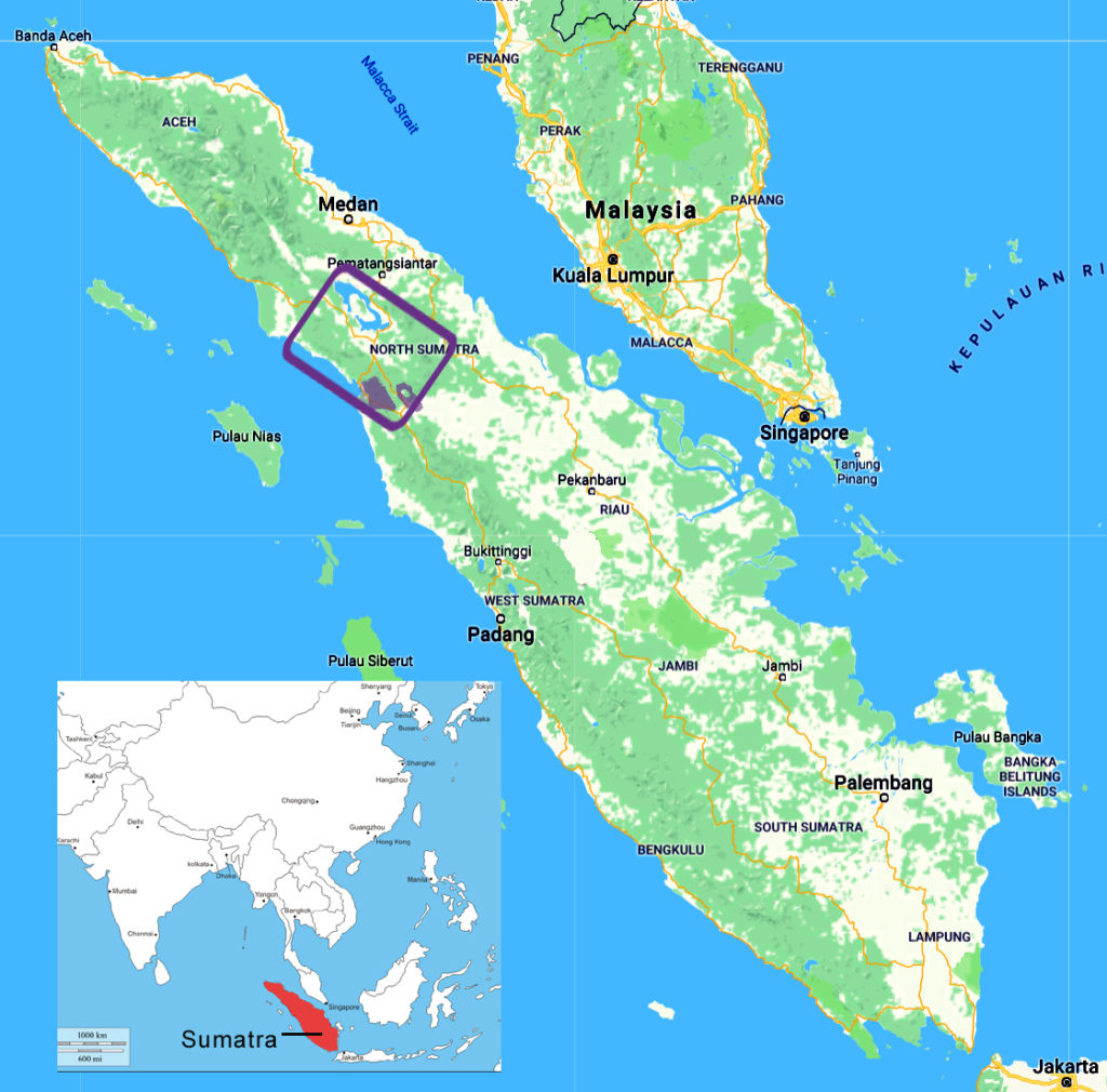 New Great Ape Species Sumatra inset map