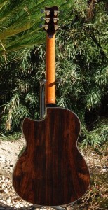 Greenfield G2 Guitar back readers photos
