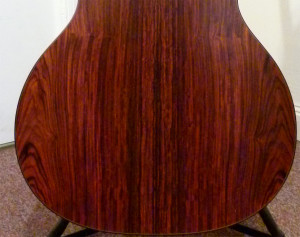 Custom CEO-7 cocobolo lower bout