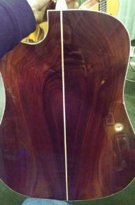 Martin Experience Indian rosewood back