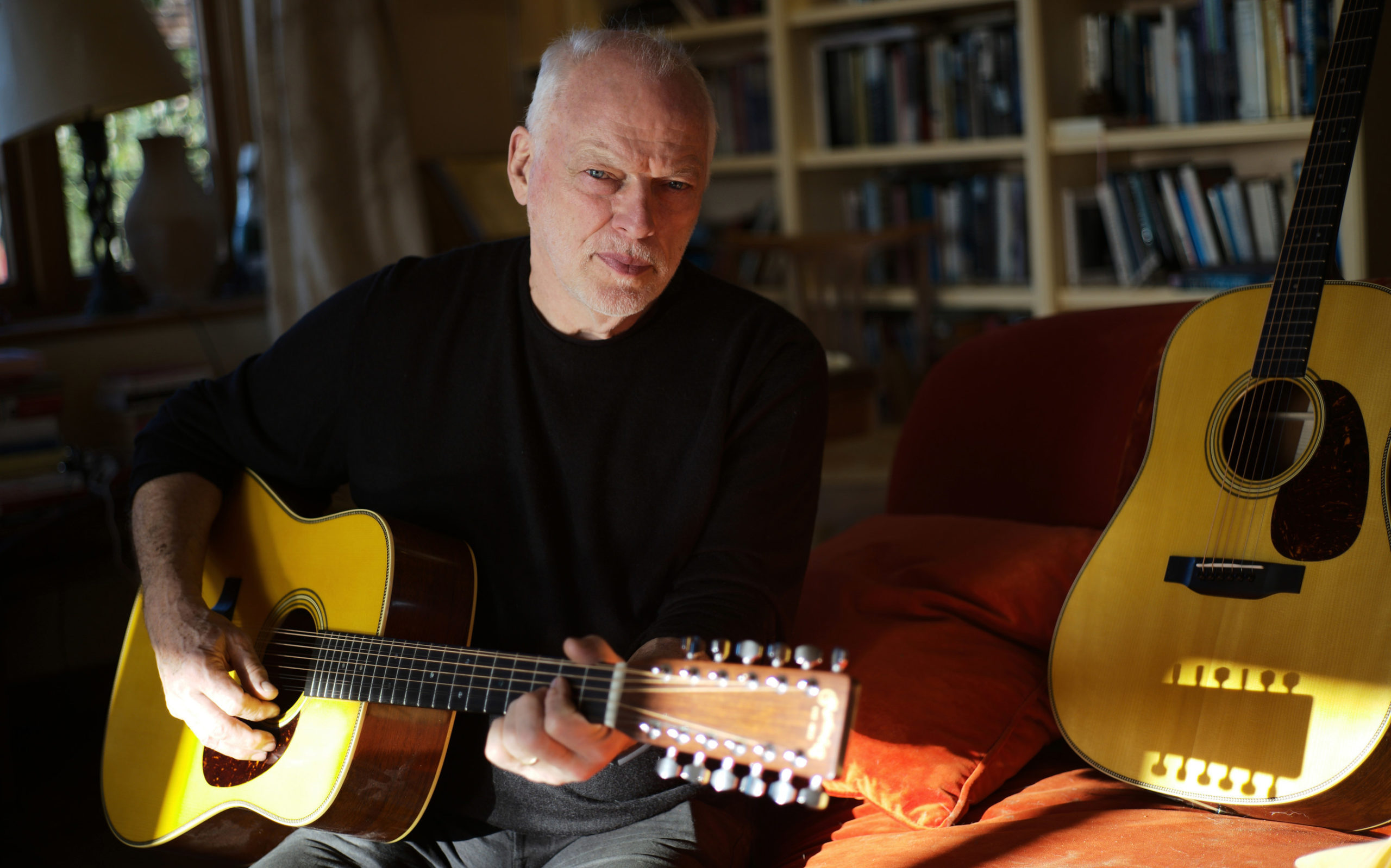 Martin D-35 David Gilmour 12 String Guitar onemanz portrait