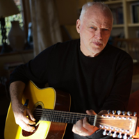 David GilmourMarting 12 string 200 px